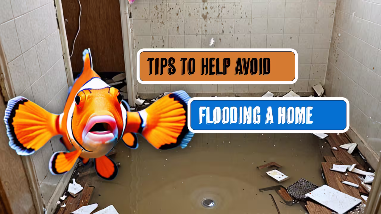 Cartoon fish in flooded bathroom with text overlay about flooding tips
