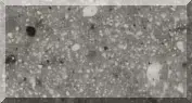 Gray speckled texture with scattered white spots.